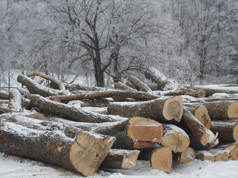 Snowy stack of firewood