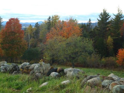 Foliage farm