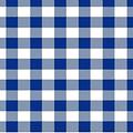 Gingham Navy/White