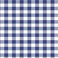 Gingham Navy/White Trim 