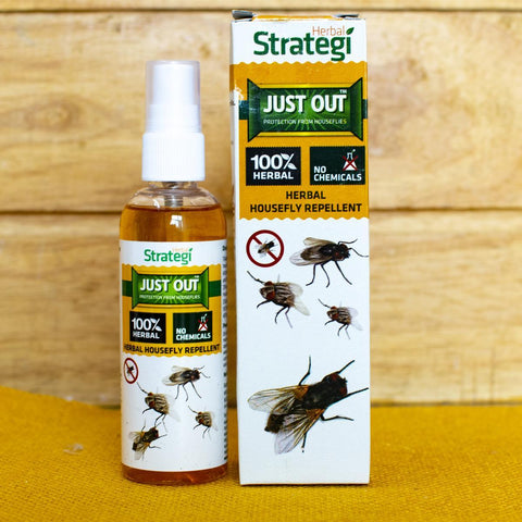 Herbal Housefly Repellent – Qtrove