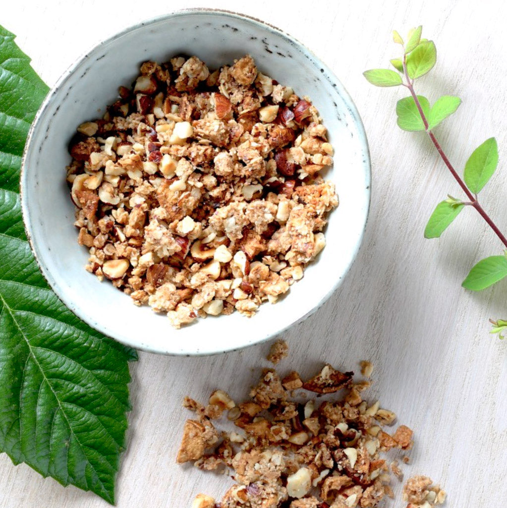 Apple cinnamon granola preparation from porridge