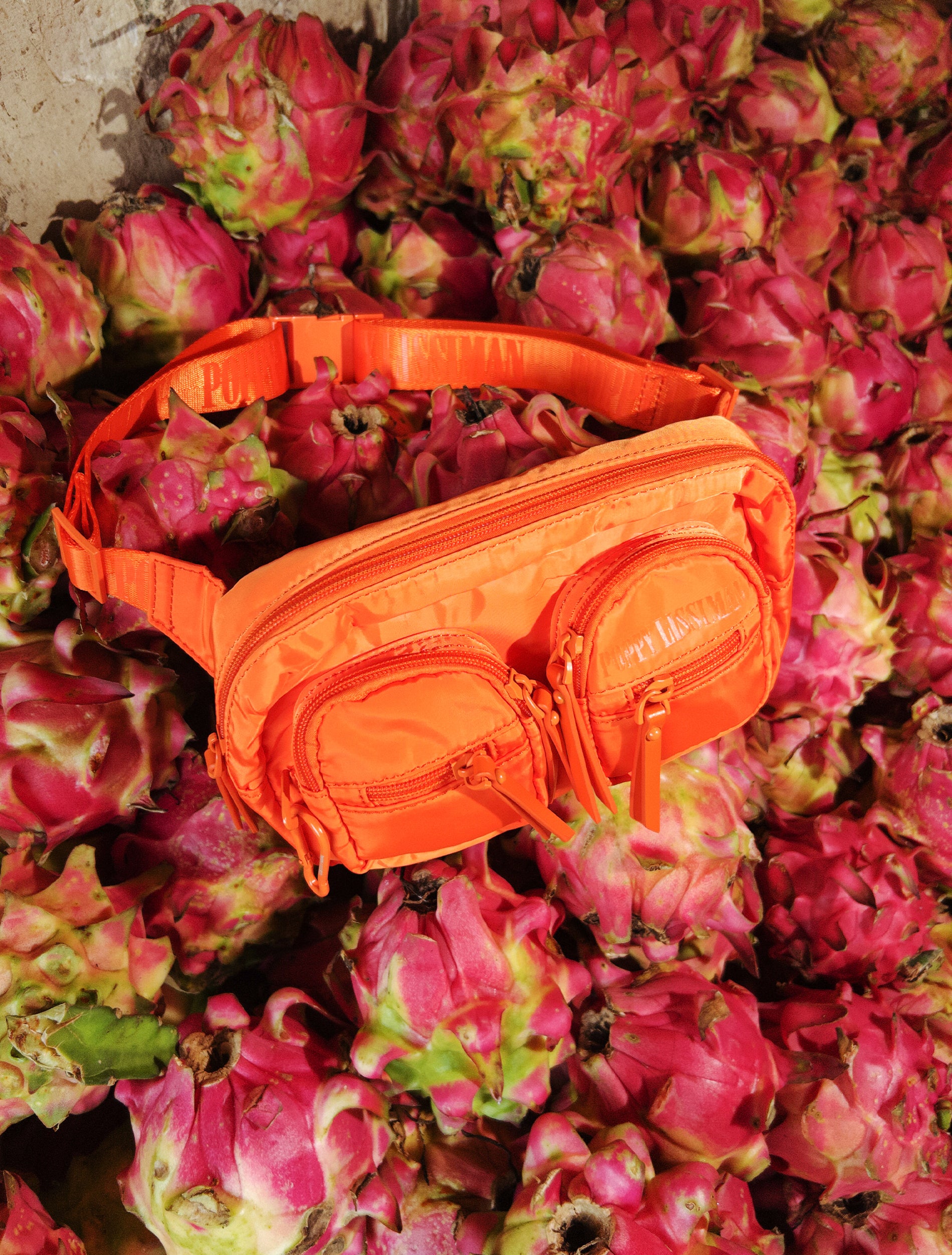 Adventure Waistbag - Mandarin