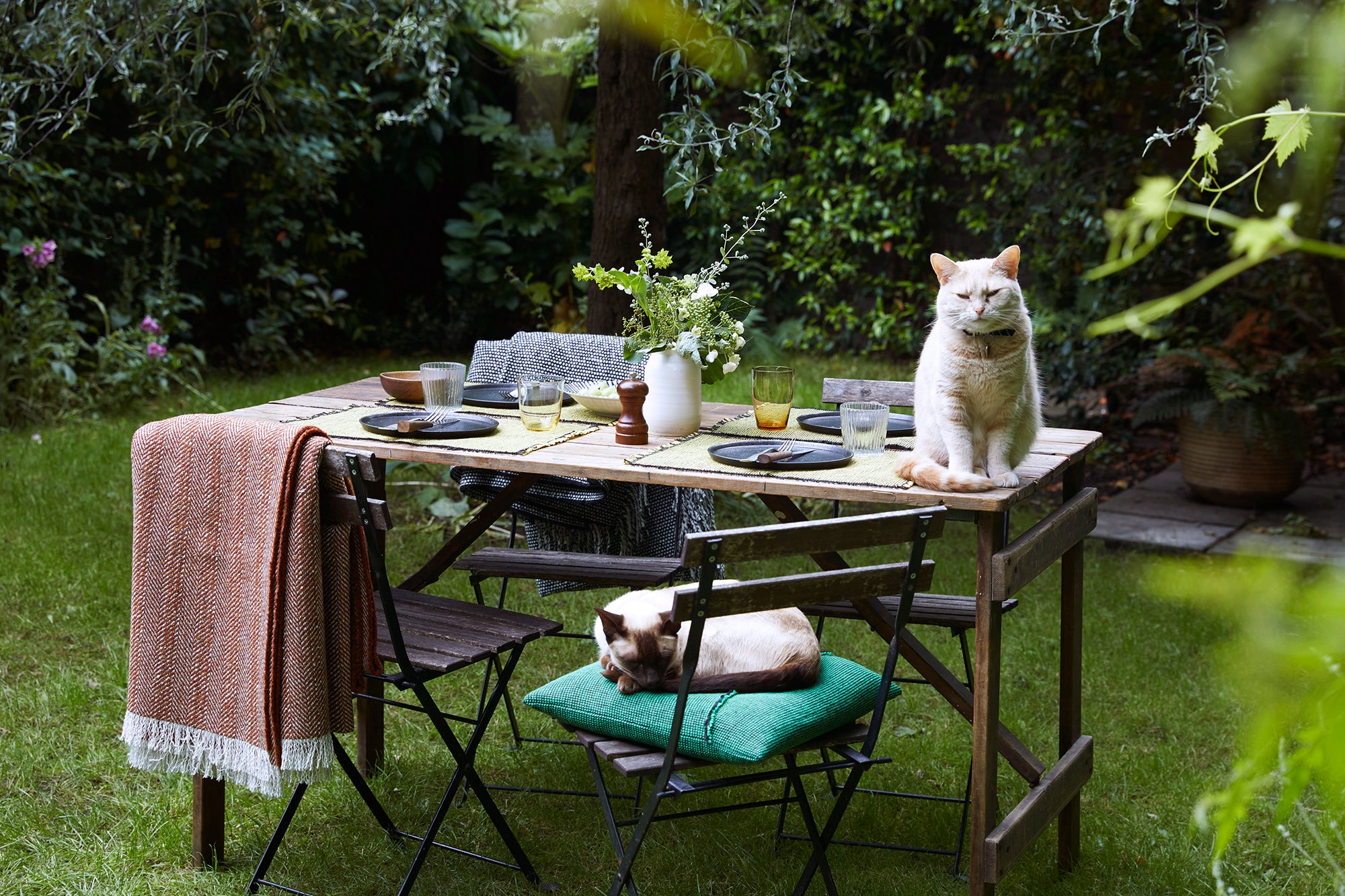 Placemats - Gorse