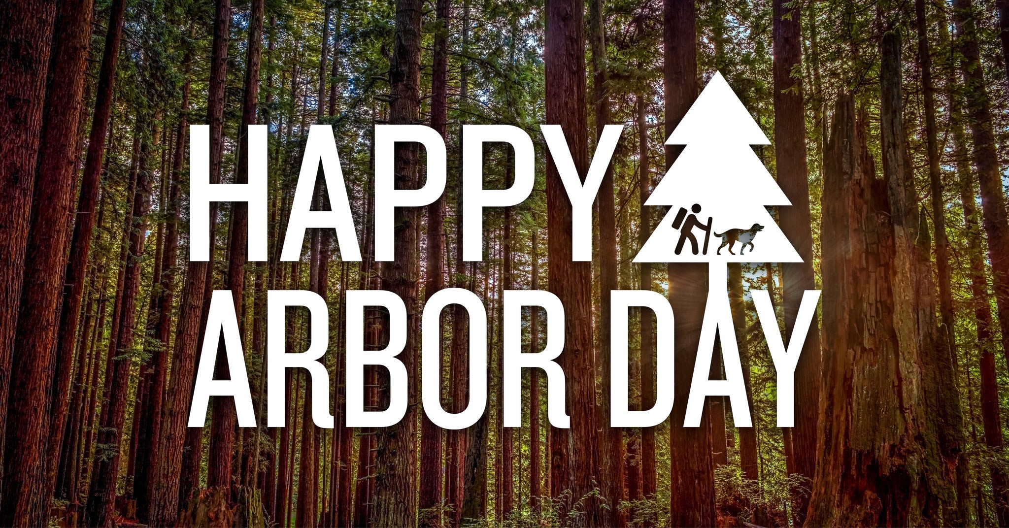 Arbor Day Why Planting a Tree Matters Camping With Dogs
