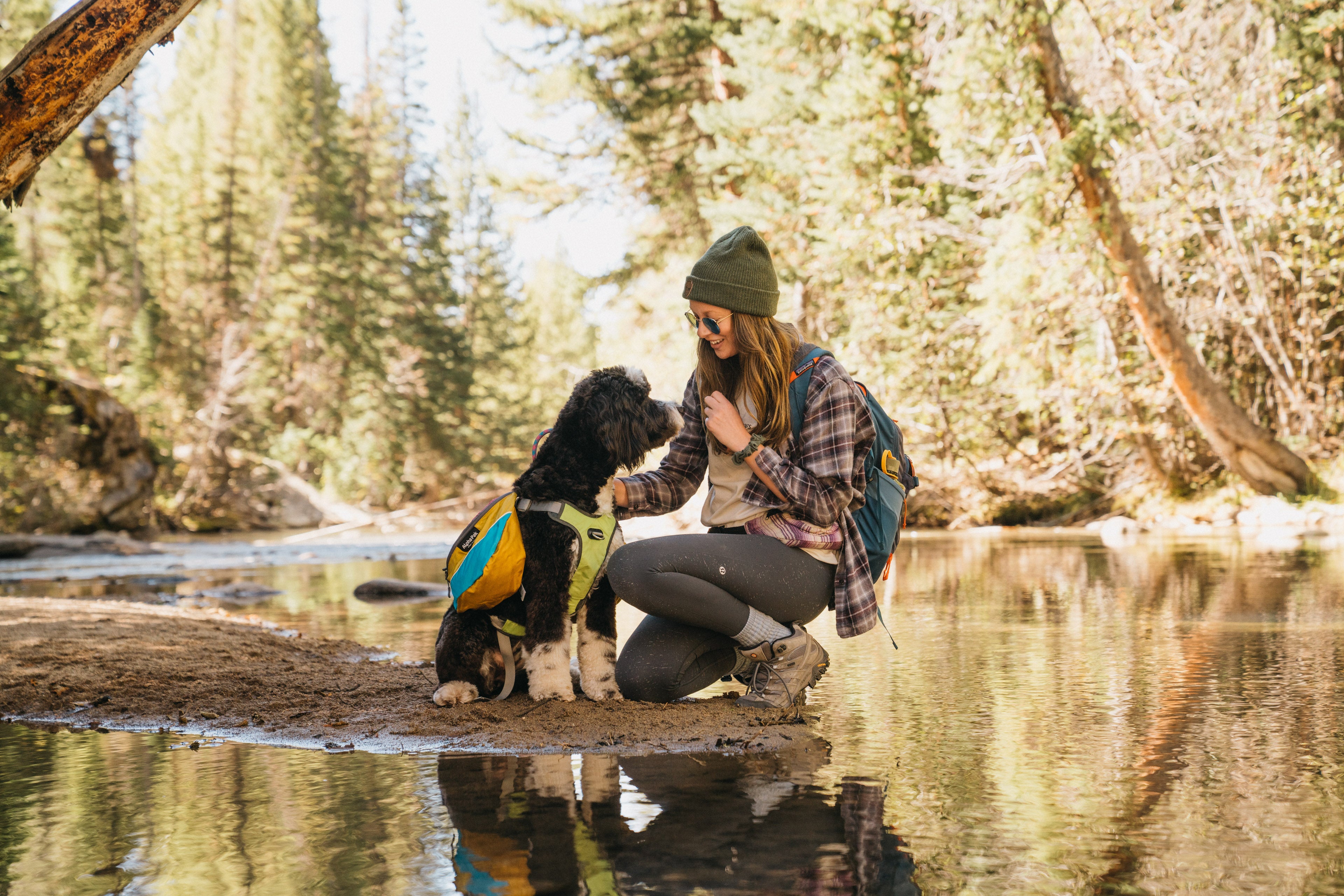 The Ultimate Guide to Pet Health and Safety When Hiking - Camping With Dogs