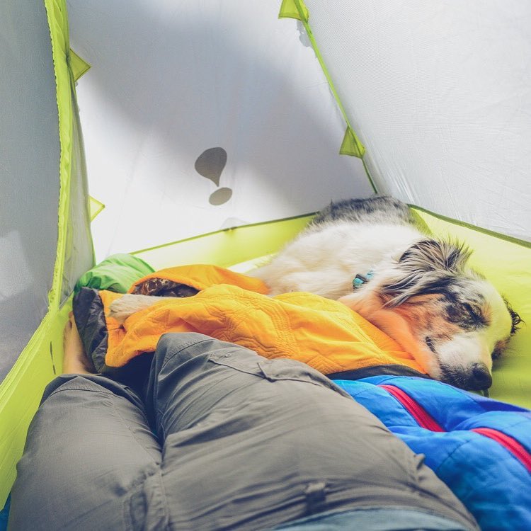 Backpacking With Dogs: Top 10 Essentials - Camping With Dogs