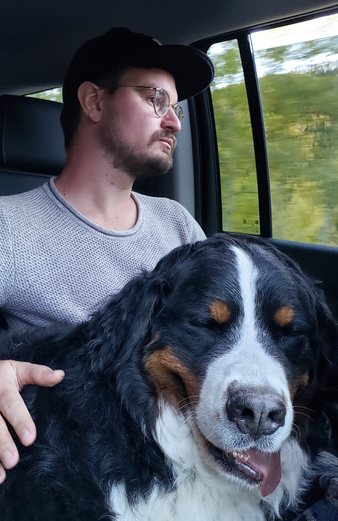 車の中で寝ている犬
