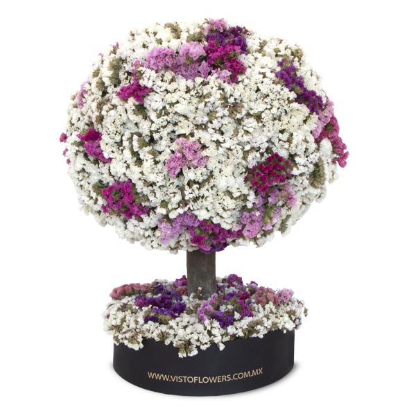 Árbol de la Vida RN - Dura 6 meses – Visto Flowers | Envio de Flores