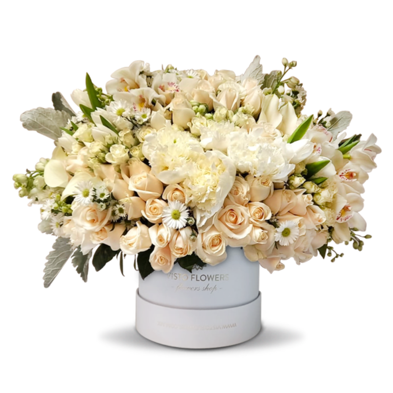 Crisantemos Orquideas – Visto Flowers | Envio de Flores