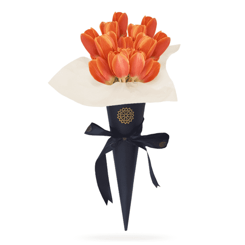 20 Tulipanes Naranja Cono Negro – Visto Flowers | Envio de Flores