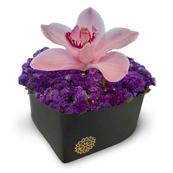 Flor de Orquídea – Visto Flowers | Envio de Flores