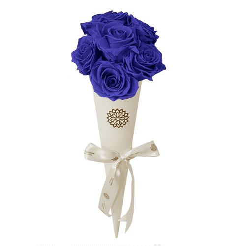 12 Rosas Eternas Azules B – Visto Flowers