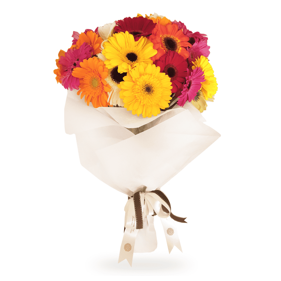 Ramo de Gerberas Multicolor – Visto Flowers | Envio de Flores