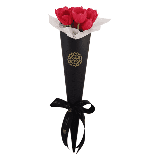 10 Tulipanes Rojos Cono Negro – Visto Flowers | Envio de Flores