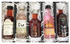 Miniature Fruit Gin Gift Set