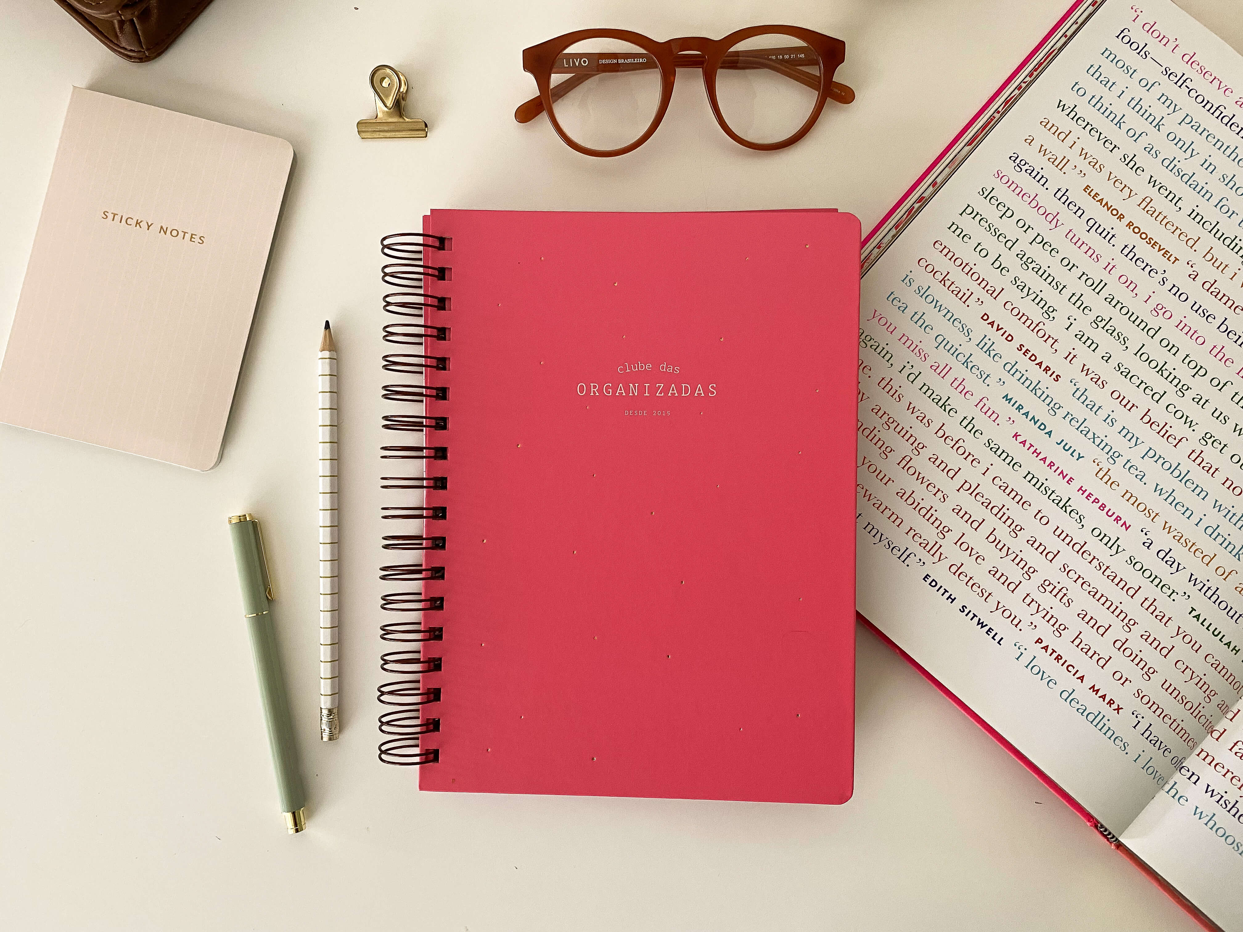 caderno pautado rosa clube das organizadas