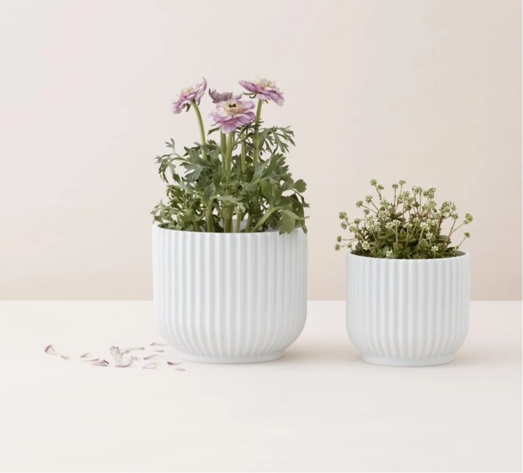 flowerpot porcelain planter