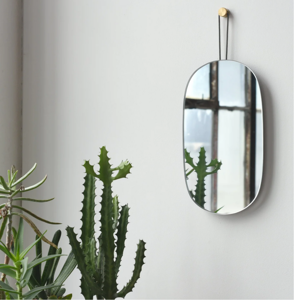 lure mirror on wall with cactus plants