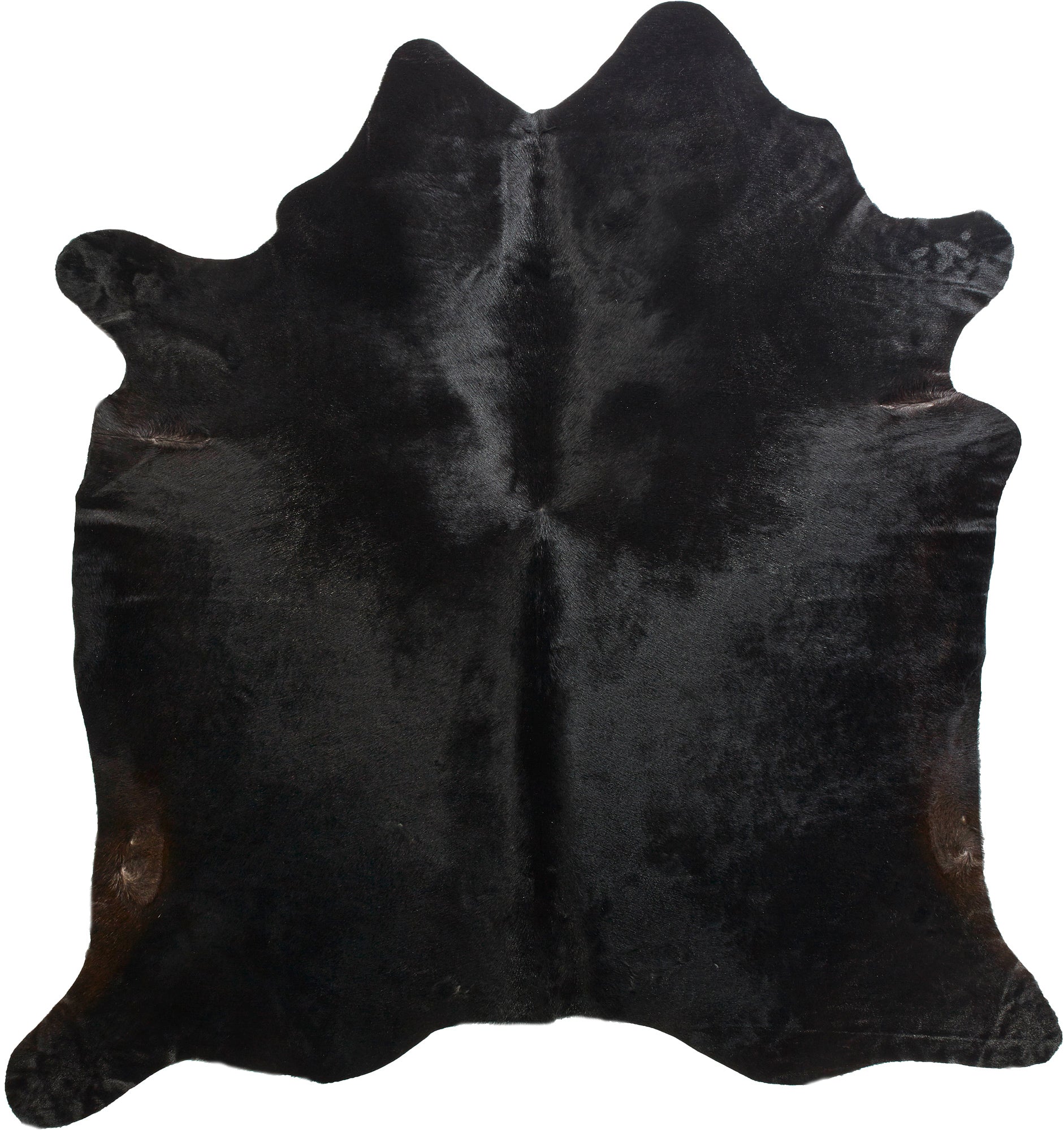 Cowhide Rug - Solid Black Natural/Brown Undertones - Medium