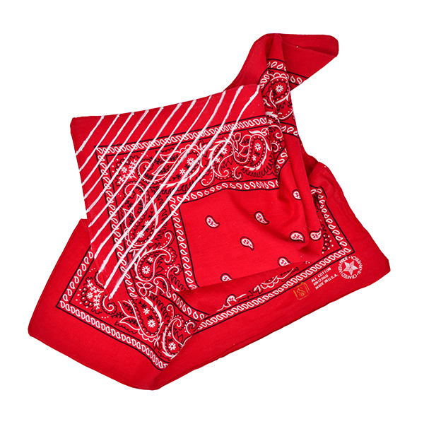 Doctor'd by Squar'd Away - Navy Triangle Bandana – SquardAway