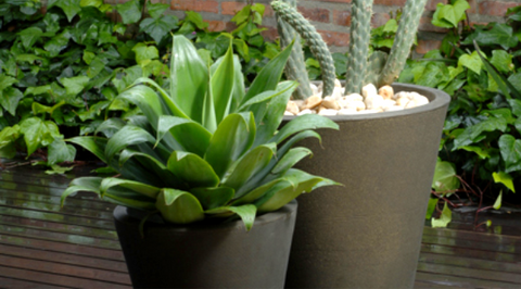 Collections – Pots Planters & More