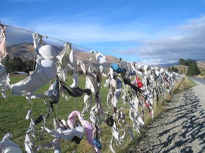 electric fence made from underwear