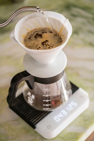 V60 ماهي قهوة القهوة المختصة: