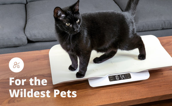 TOPINCN Pet Scale,10kg/1g Digital Small Pet Weight Scale for Cats