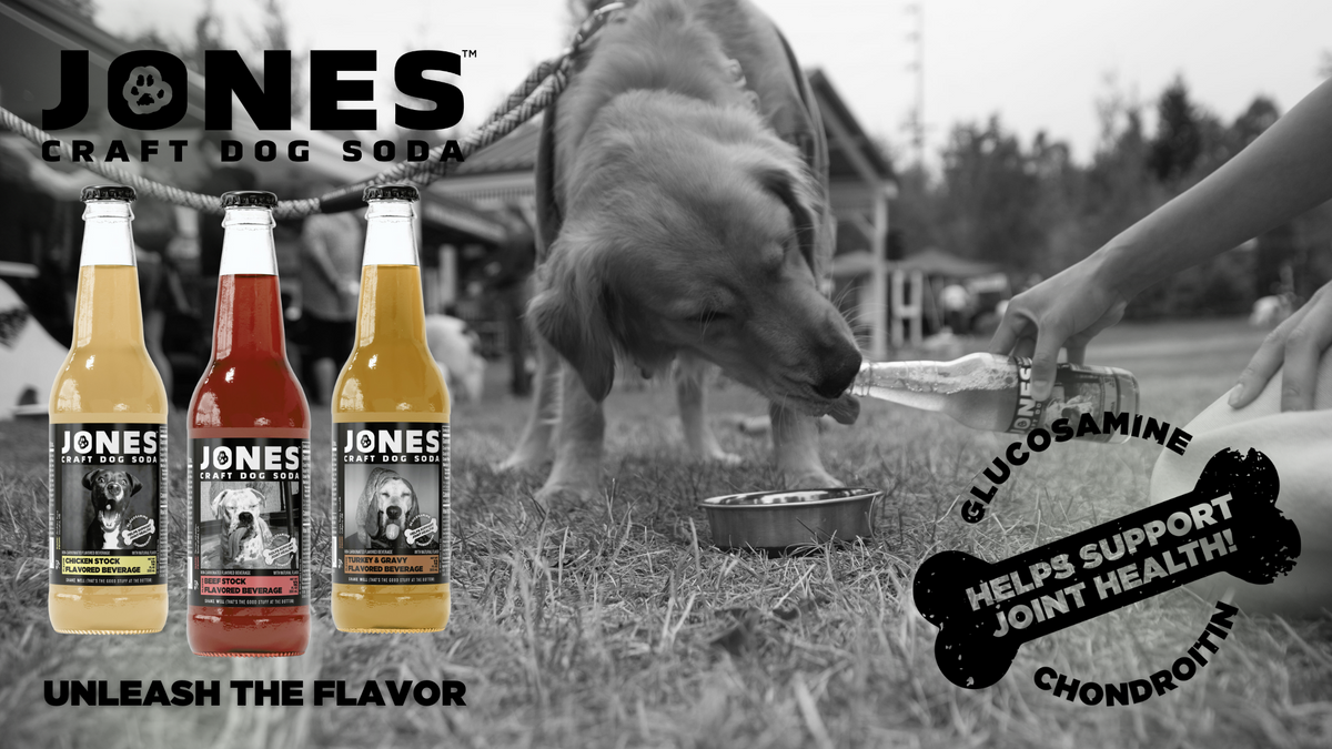 Jones Craft Dog Soda