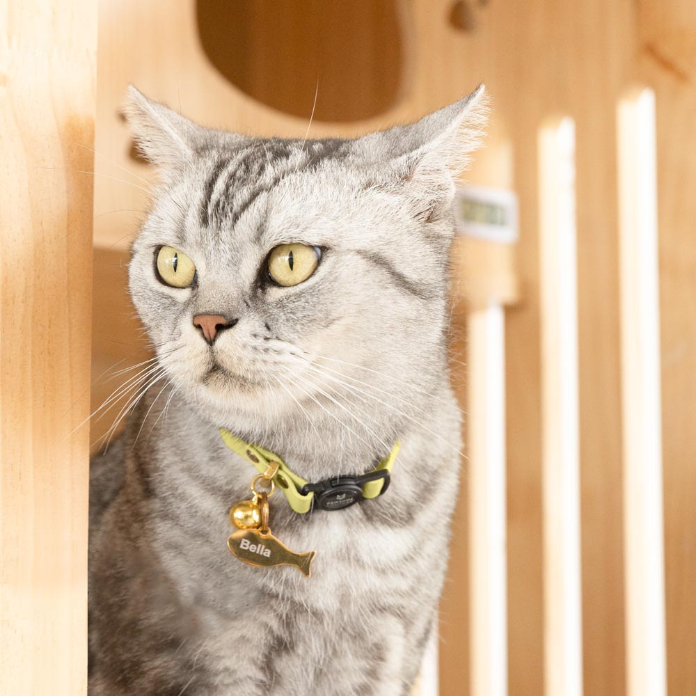 Banana Yellow Leather Cat Collars by Pawsome Couture Thumbnail