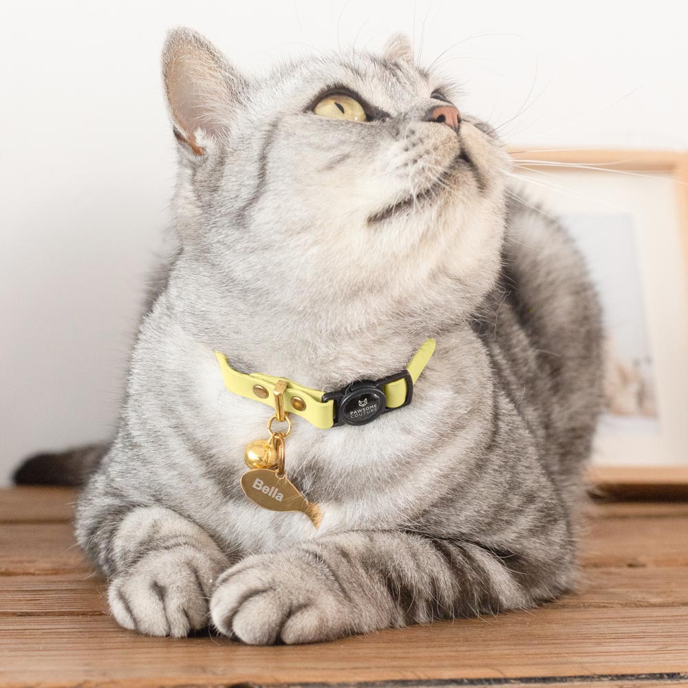 Banana Yellow Leather Cat Collars by Pawsome Couture Thumbnail