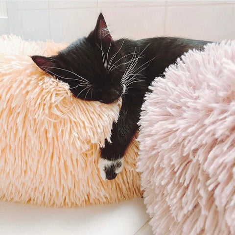 Kitten Calming Cat Bed