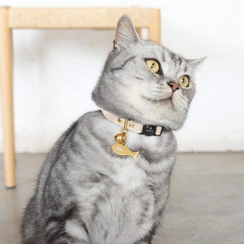 Ivory Luxury Leather Cat Collars by Pawsome Couture Thumbnail