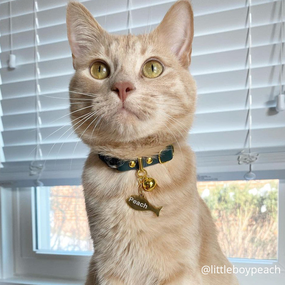 Pine Green Leather Cat Collars by Pawsome Couture Thumbnail