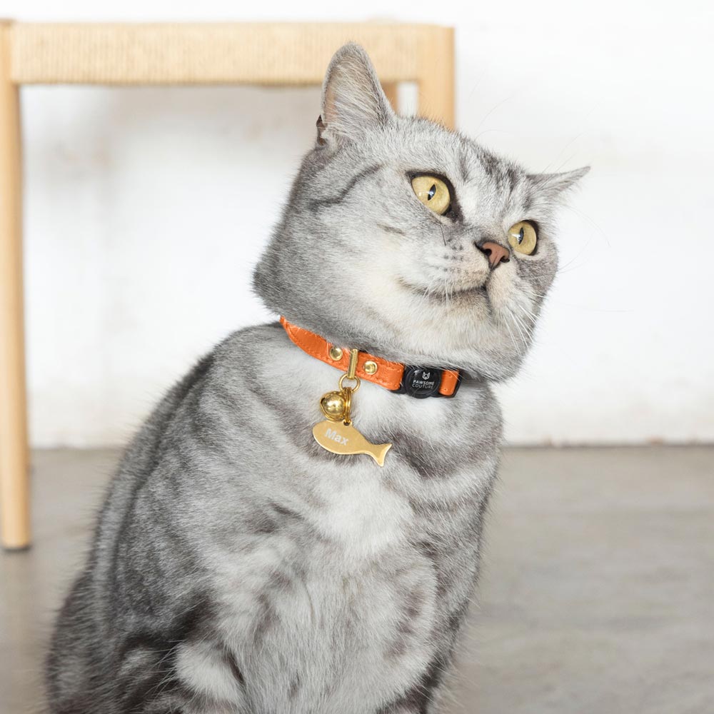 Orange Luxury Leather Cat Collars by Pawsome Couture Thumbnail