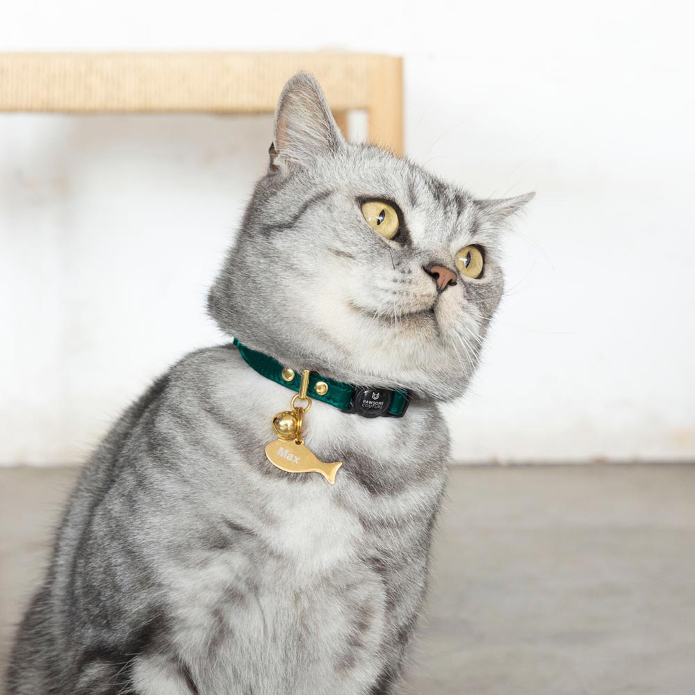 Pine Green Luxury Leather Cat Collars by Pawsome Couture Thumbnail