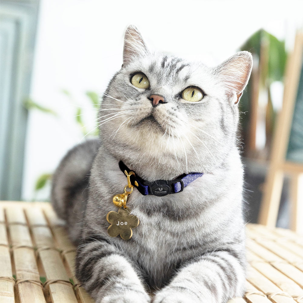 Royal Navy Cotton Cat Collars by Pawsome Couture Thumbnail