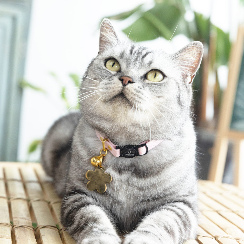 Primrose Pink Cotton Cat Collars by Pawsome Couture Thumbnail