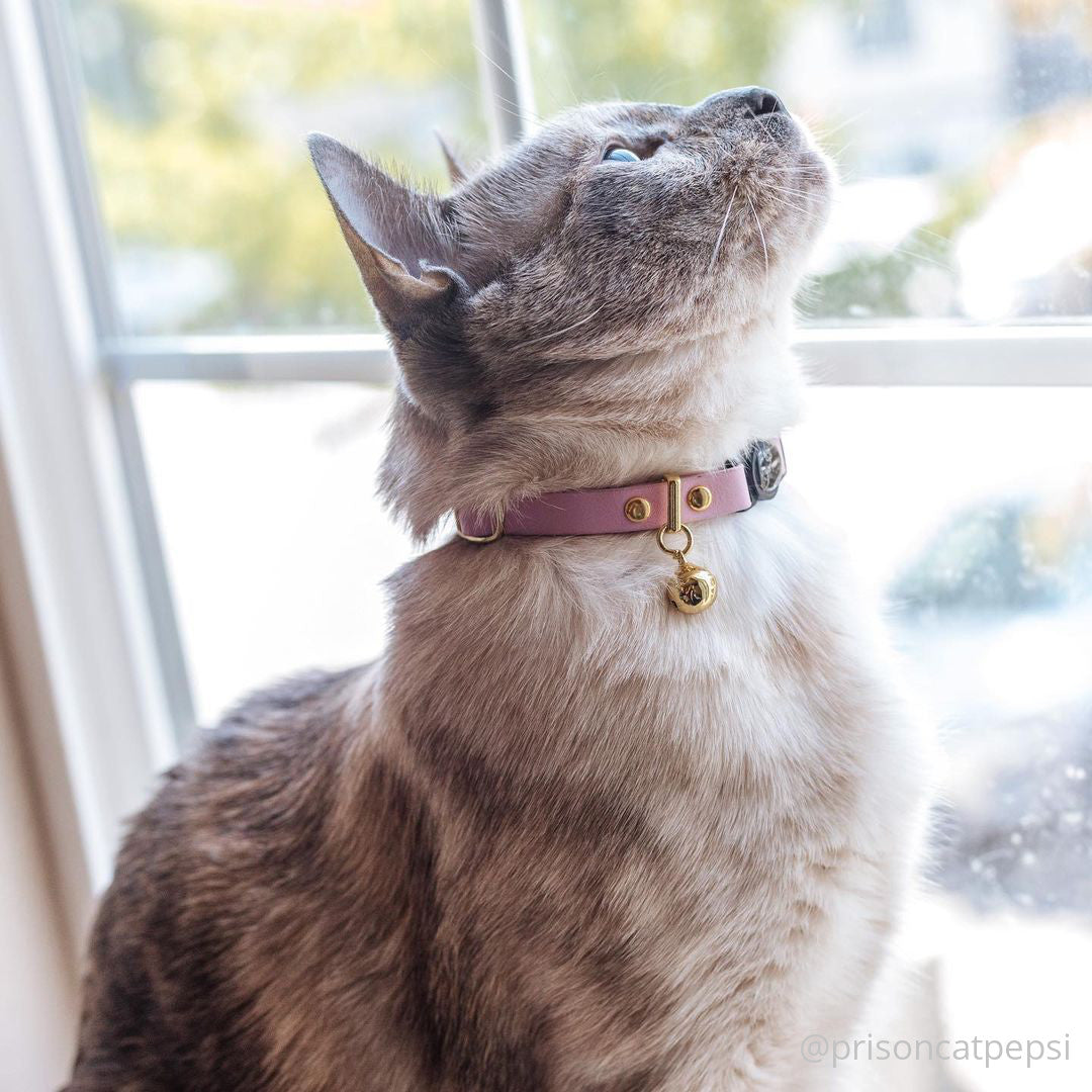 Blush Pink Leather Cat Collars by Pawsome Couture Thumbnail