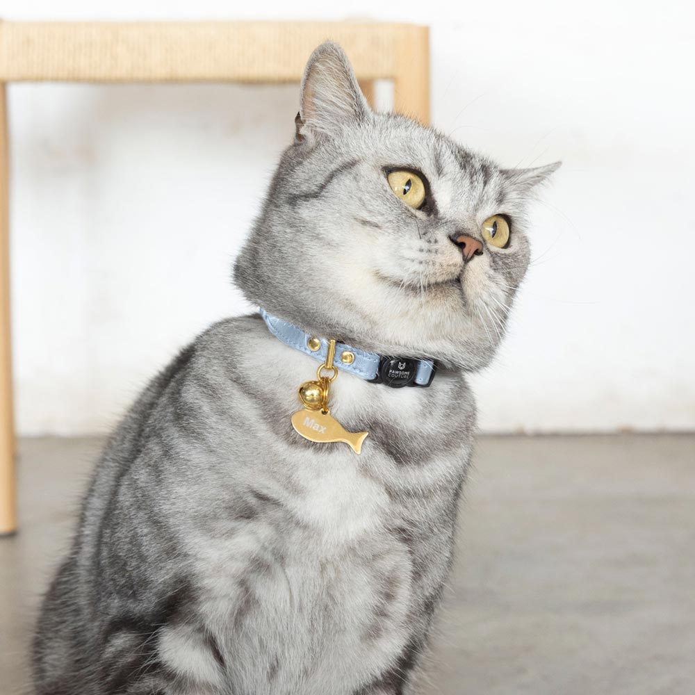 Slate Blue Luxury Leather Cat Collars by Pawsome Couture Thumbnail