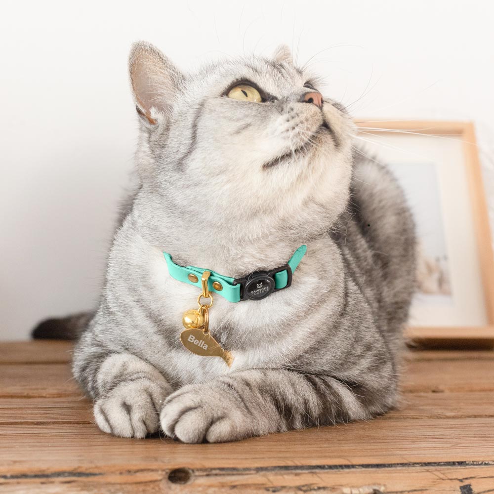 Turquoise Leather Cat Collars by Pawsome Couture Thumbnail