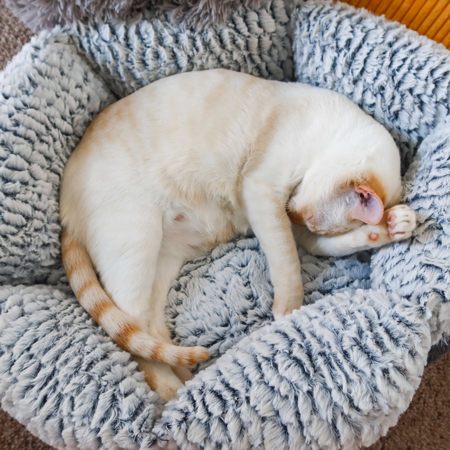 Cloud 9 Stress Reducing Pet Bed - Pawsome Couture