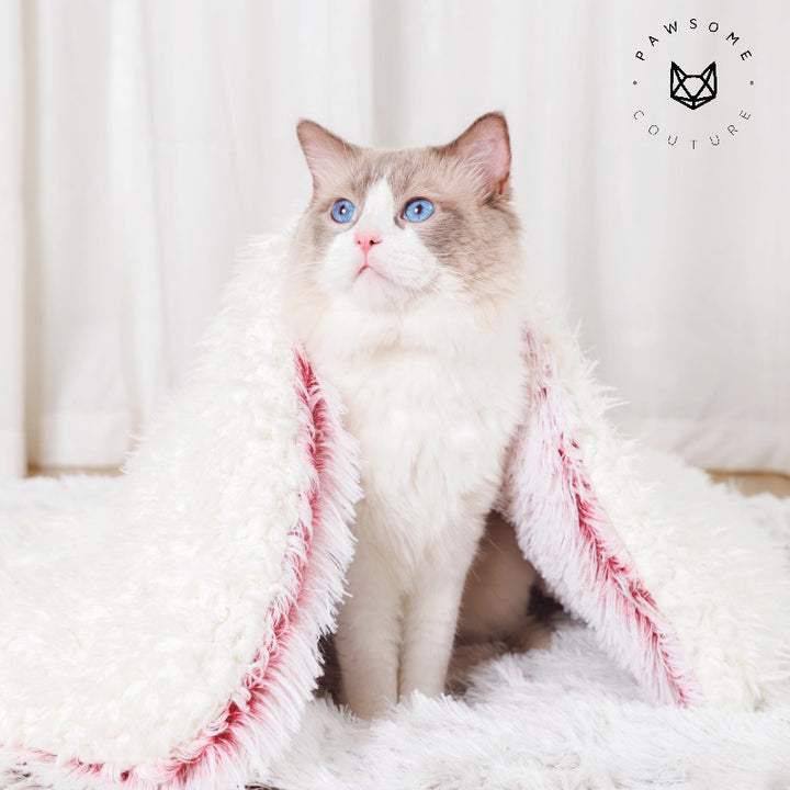 Pet Beds & Blankets - Pawsome Couture®