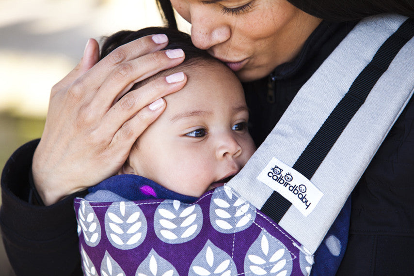 catbird baby carrier