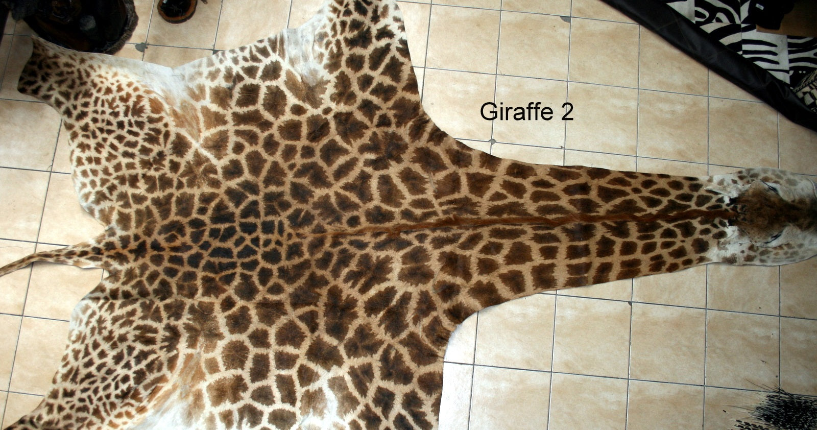 GIRAFFE Skin Rug - G2 – Trophy Room Collection