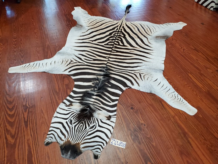 Authentic Zebra Skin Rug Zebra Rugs for Sale Trophy Room Collection Trophy Room Collection