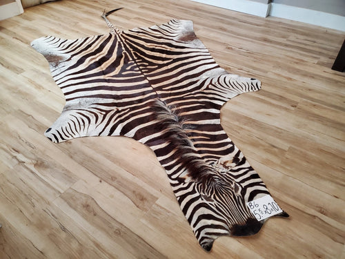 zebra rug, curve, high shelf for bags