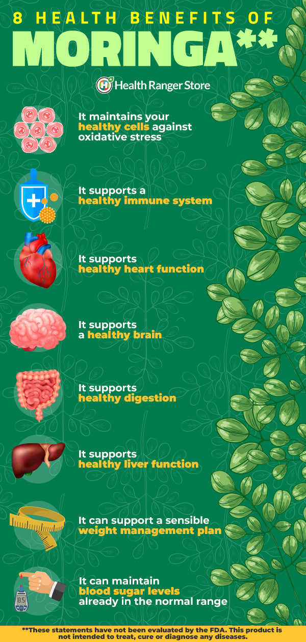 Health Benefits Moringa 