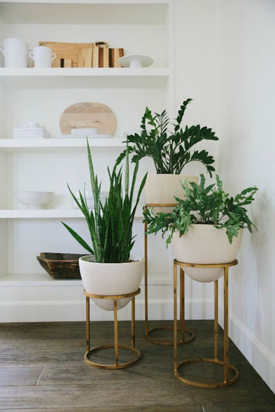 Fake It A Style Guide For Incorporating Artificial Plants And